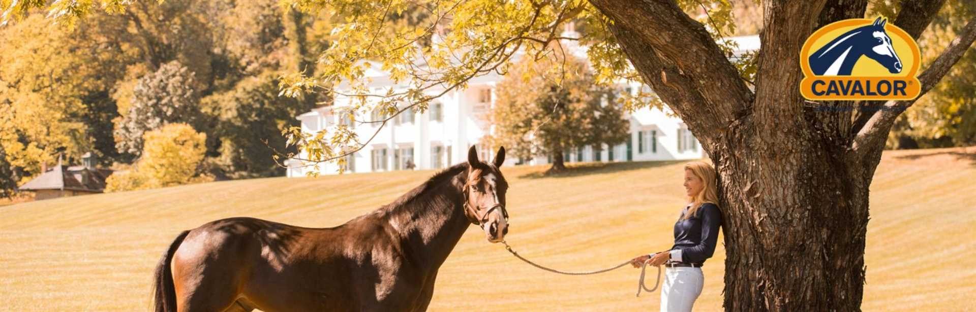 Alles over detox bij paarden