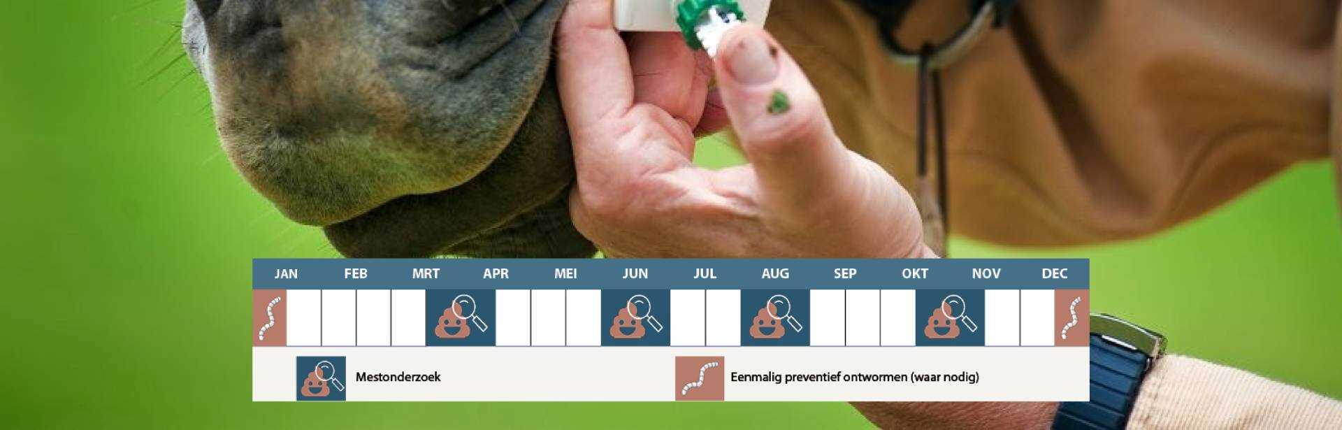 Waarom wel of juist niet preventief ontwormen?