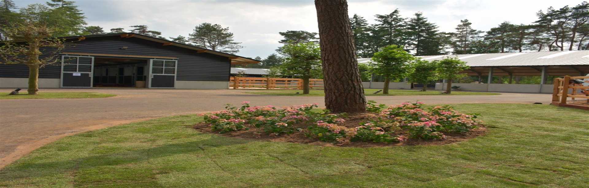 Vakantiestal en Manege Samoza