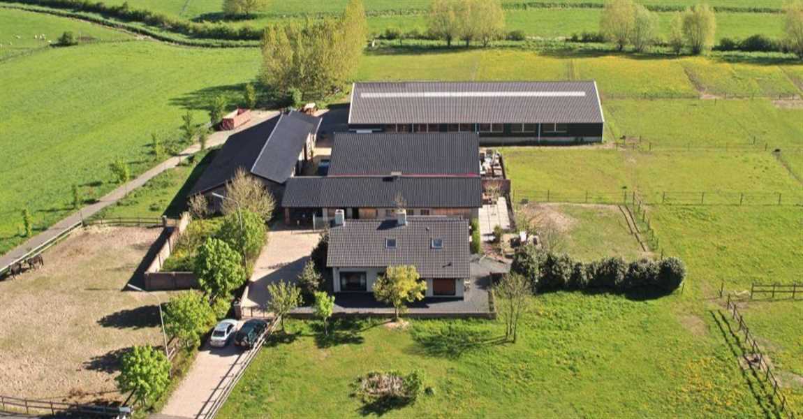 Stal Stonas