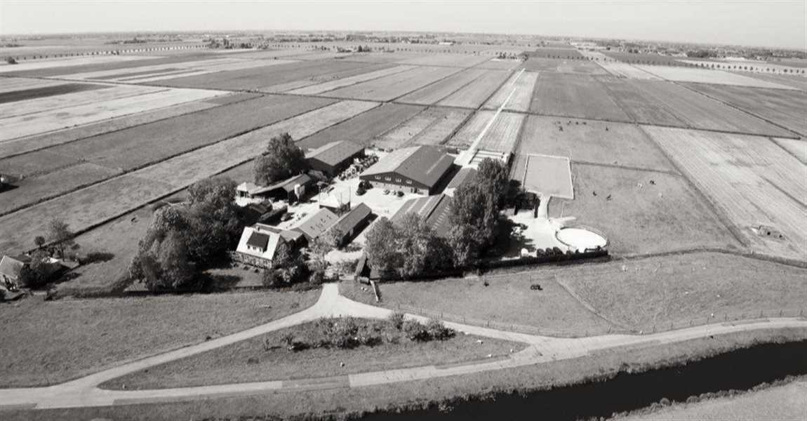 Wild Rose Stables