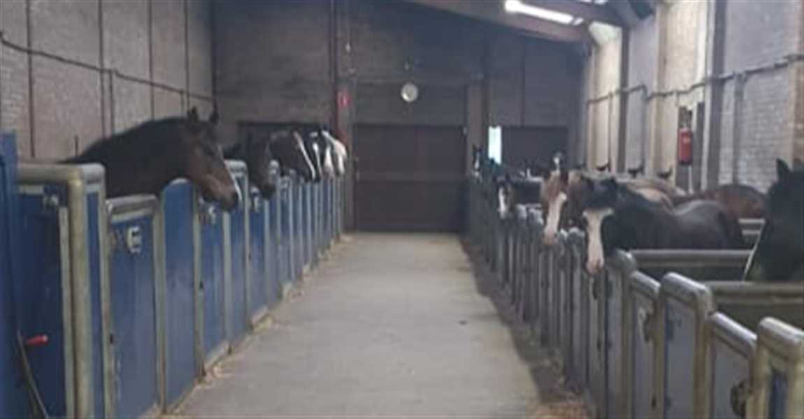 Hilversumse Ponyclub
