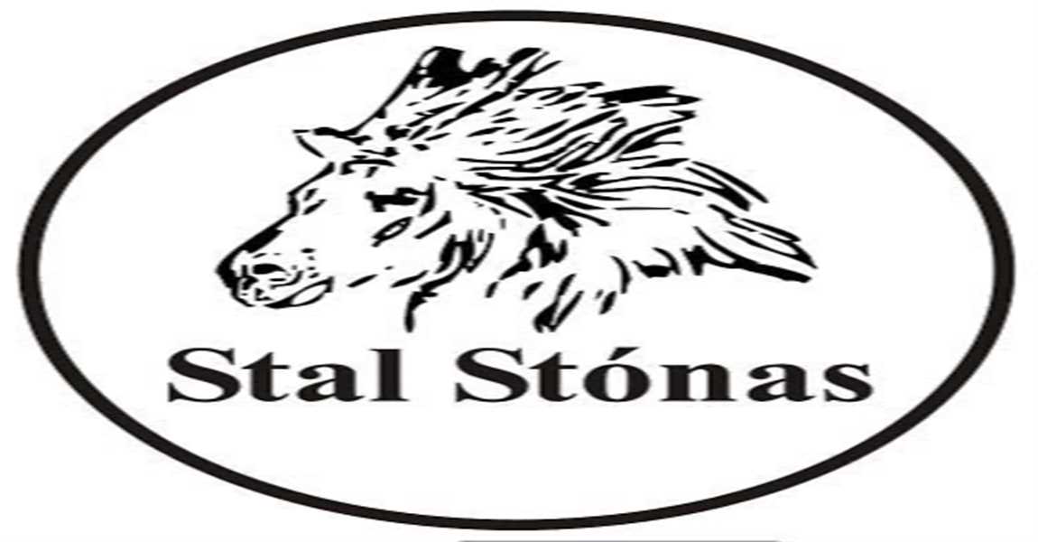 Stal Stonas logo