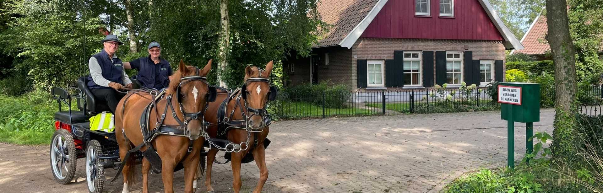 Den Möllenhof recreatiepark