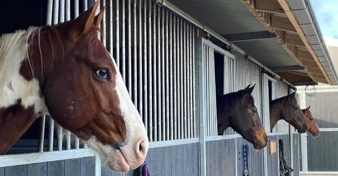 Rock Valley Stables