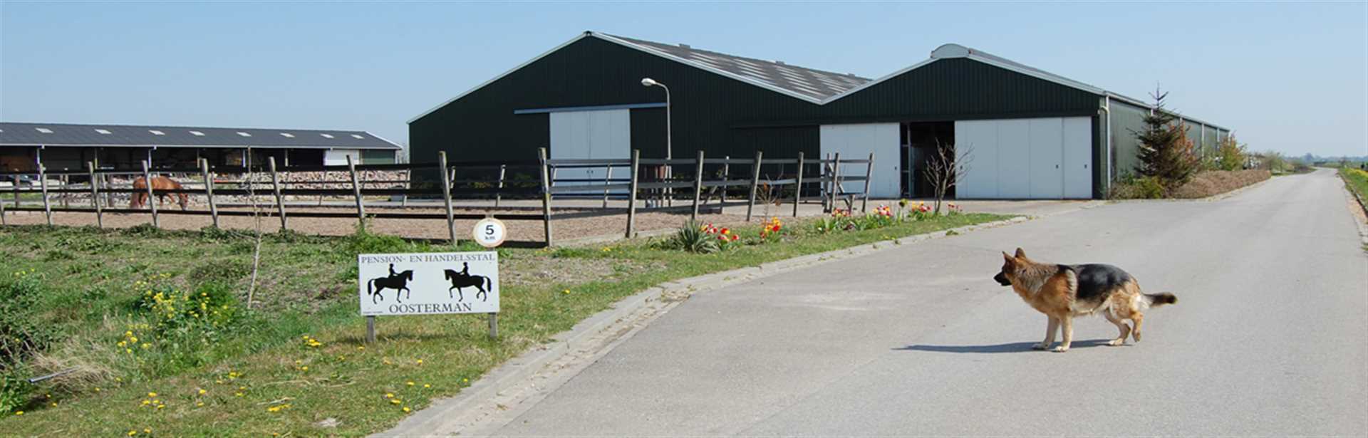 Stal Oosterman